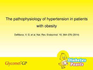 The pathophysiology of hypertension in patients with obesity