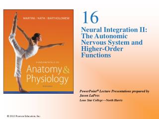 16 Neural Integration II: The Autonomic Nervous System and Higher-Order Functions