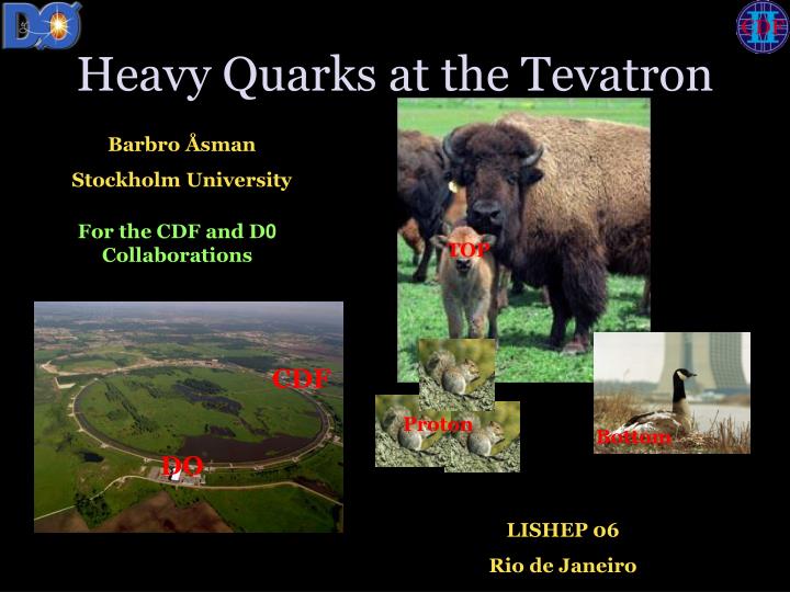 heavy quarks at the tevatron