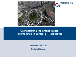 Orchestrating the orchestrators: chemokines in control of T cell traffic