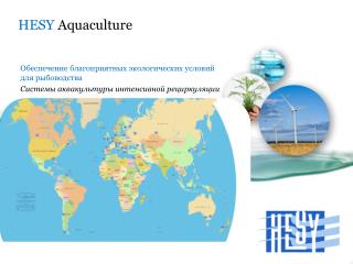 hesy aquaculture