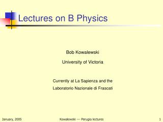 Lectures on B Physics