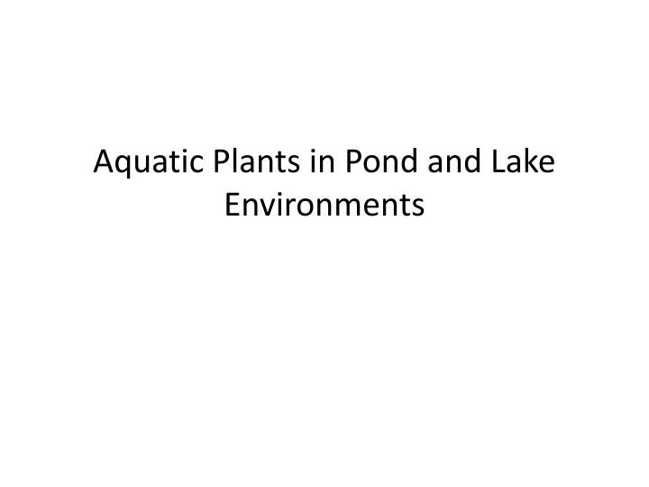 aquatic plants in pond and lake environments