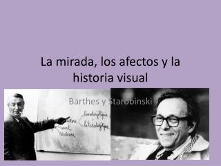 la mirada los afectos y la historia visual