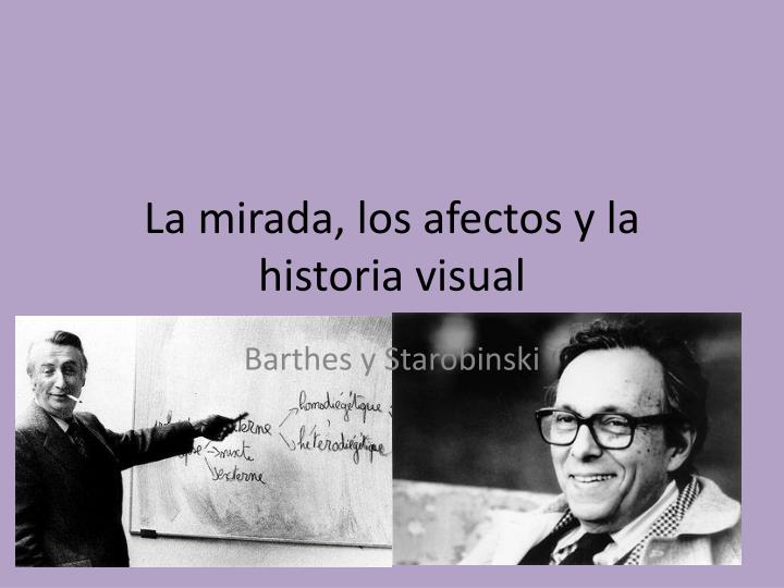 la mirada los afectos y la historia visual