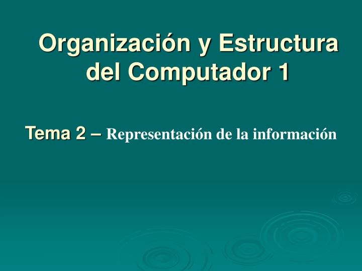 organizaci n y estructura del computador 1