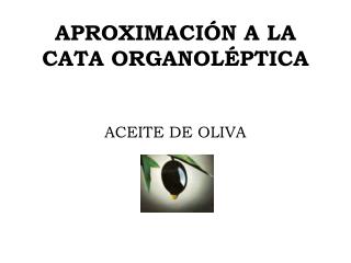 aproximaci n a la cata organol ptica