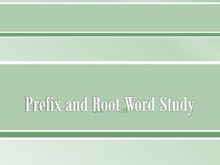 Prefix and Root Word Study