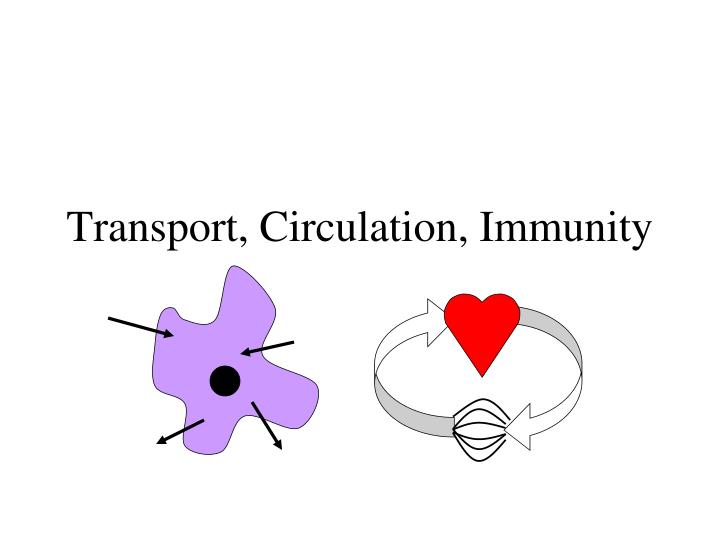 transport circulation immunity