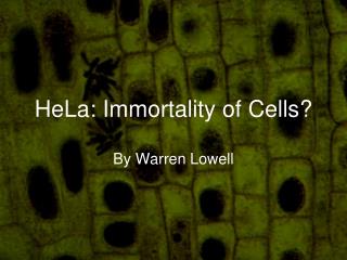 HeLa: Immortality of Cells?