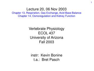 Lecture 20, 06 Nov 2003 Chapter 13, Respiration, Gas Exchange, Acid-Base Balance