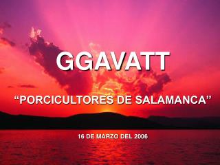 GGAVATT “PORCICULTORES DE SALAMANCA” 16 DE MARZO DEL 2006