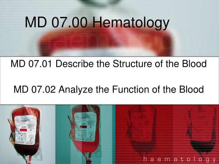 md 07 00 hematology