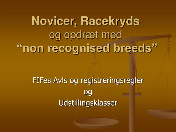 novicer racekryds og opdr t med non recognised breeds