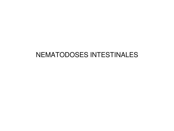 nematodoses intestinales