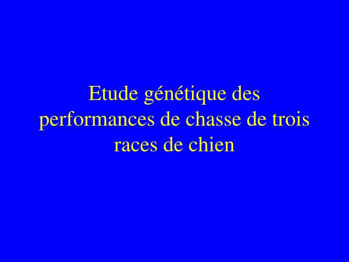 etude g n tique des performances de chasse de trois races de chien