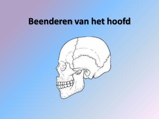 beenderen van het hoofd