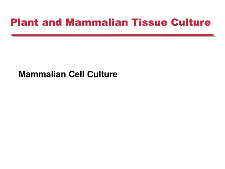 plant and mammalian tissue culture