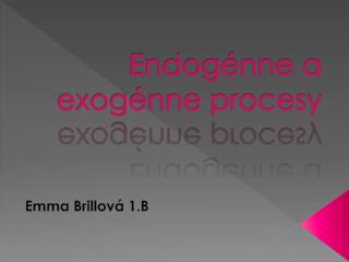 endog nne a exog nne procesy