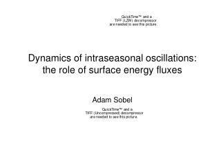 Dynamics of intraseasonal oscillations: the role of surface energy fluxes