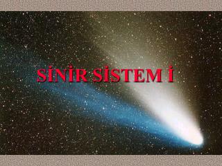 s n r s stem