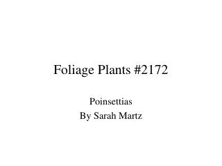 Foliage Plants #2172