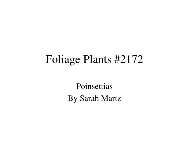 foliage plants 2172