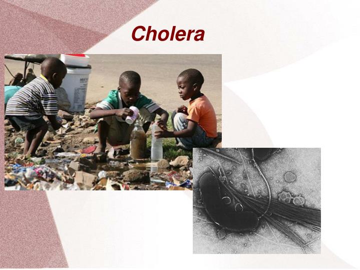 cholera