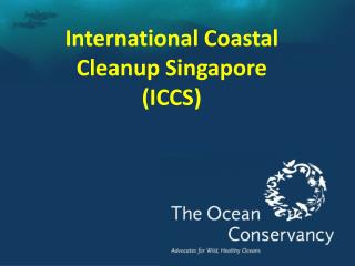 International Coastal Cleanup Singapore (ICCS)