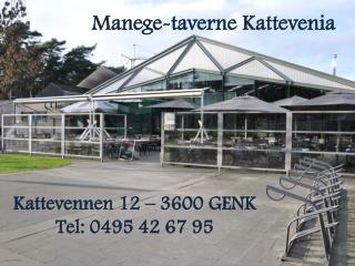 manege taverne kattevenia