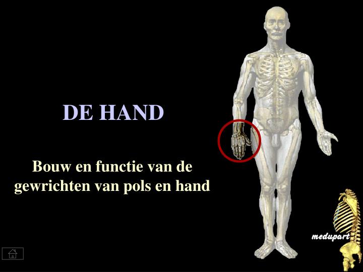 de hand