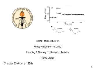 Bi/CNS 150 Lecture 21 Friday November 15, 2012 Learning &amp; Memory 1. Synaptic plasticity