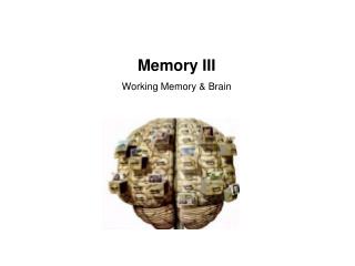 Memory III Working Memory &amp; Brain