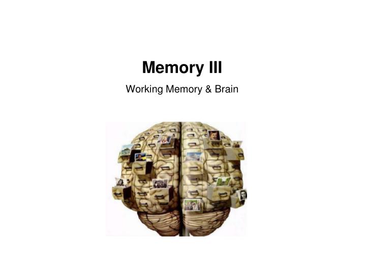 memory iii working memory brain