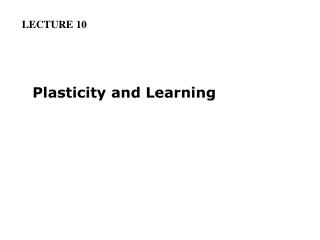 Plasticity and Learning