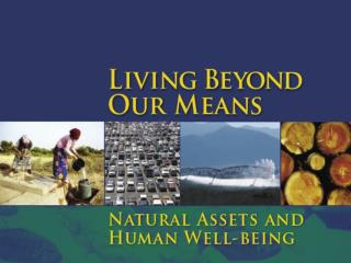 The Millennium Ecosystem Assessment (MA)