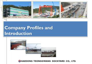 Company Profiles and Introduction