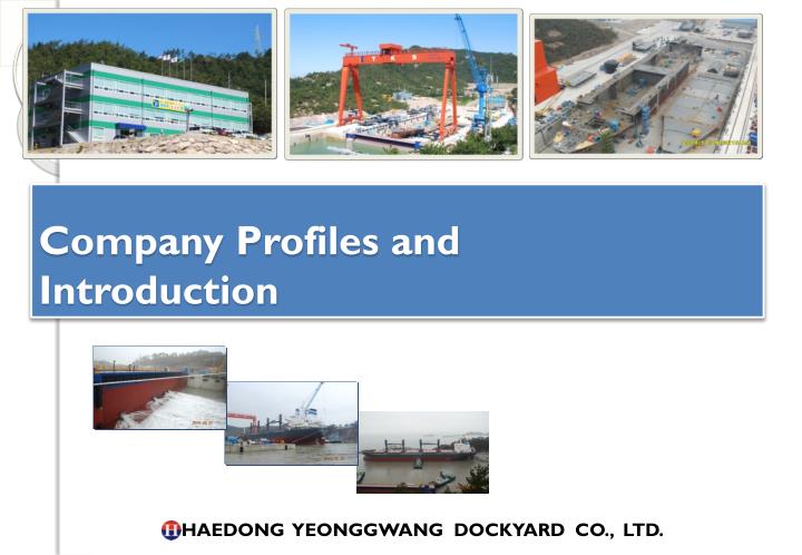 company profiles and introduction