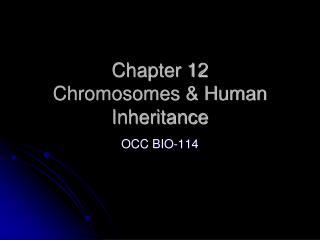 Chapter 12 Chromosomes &amp; Human Inheritance