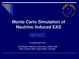 Monte Carlo Simulation of Neutrino Induced EAS