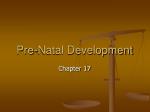 Pre-Natal Development - slide 1