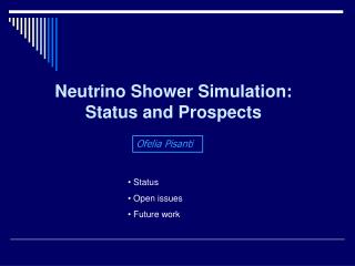 Neutrino Shower Simulation: Status and Prospects