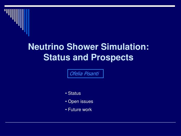 neutrino shower simulation status and prospects