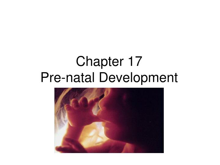 chapter 17 pre natal development