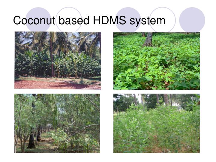 coconut based hdms system