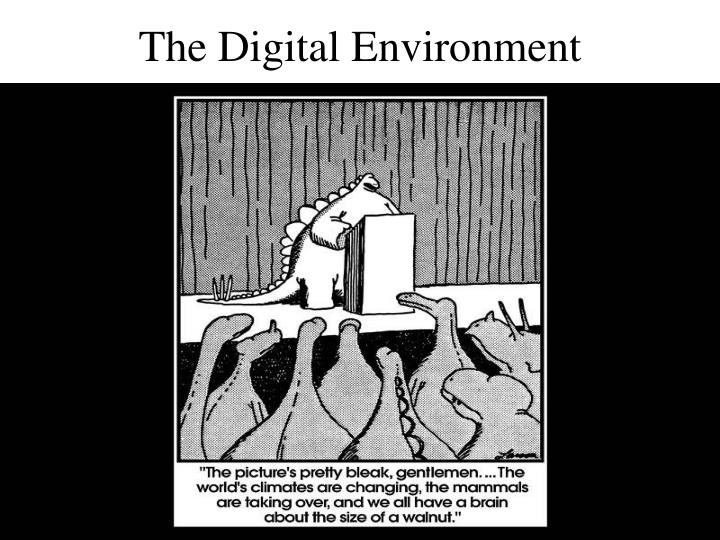 the digital environment