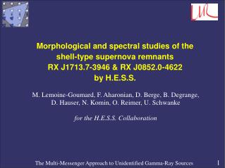 Morphological and spectral studies of the shell-type supernova remnants