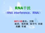 RNA 干扰 - slide 1