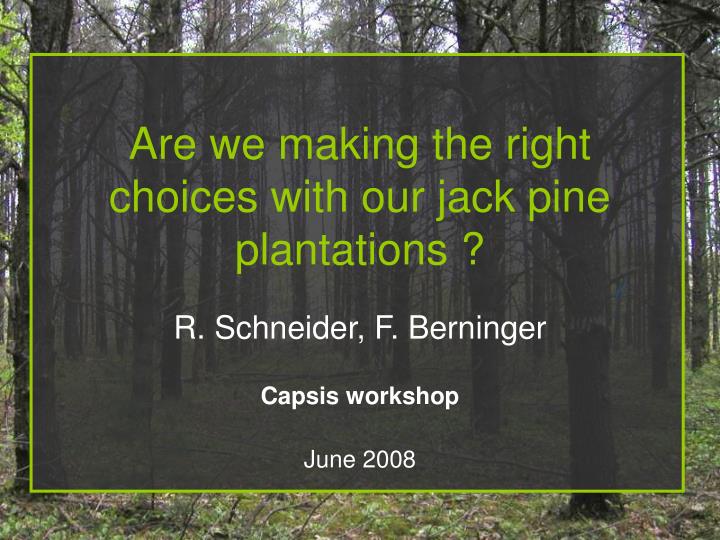 are we making the right choices with our jack pine plantations