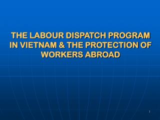 THE LABOUR DISPATCH PROGRAM IN VIETNAM &amp; THE PROTECTION OF WORKERS ABROAD